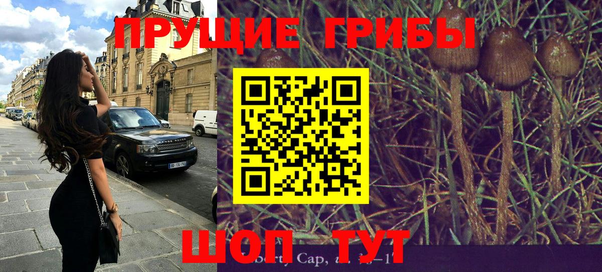 Псилоцибиновые грибы MAGIC MUSHROOMS  Вход с VPN  как найти наркотики  Кинель 